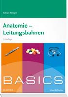 Fabian Rengier BASICS Anatomie - Leitungsbahnen