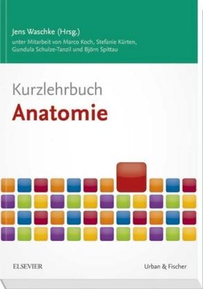 Marco Koch, Stefanie Kürten, Gundula Schulze-Tanzil, Bj Kurzlehrbuch Anatomie