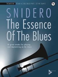 Van Ditmar Boekenimport B.V. The Essence Of The Blues