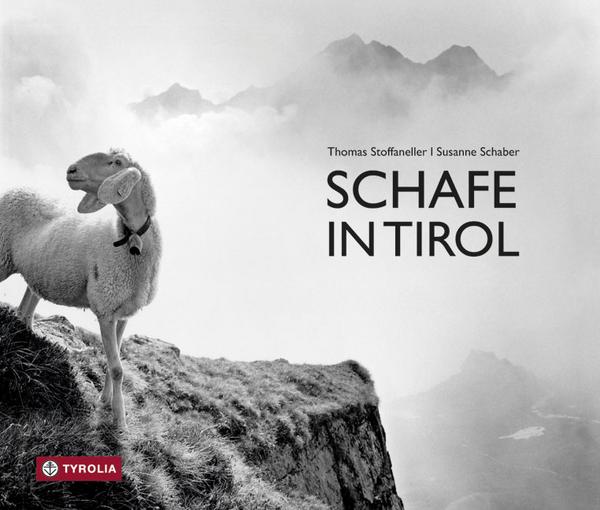 Susanne Schaber Schafe in Tirol