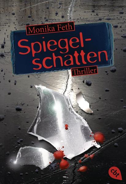 Monika Feth Spiegelschatten / Romy-Thriller Bd.2