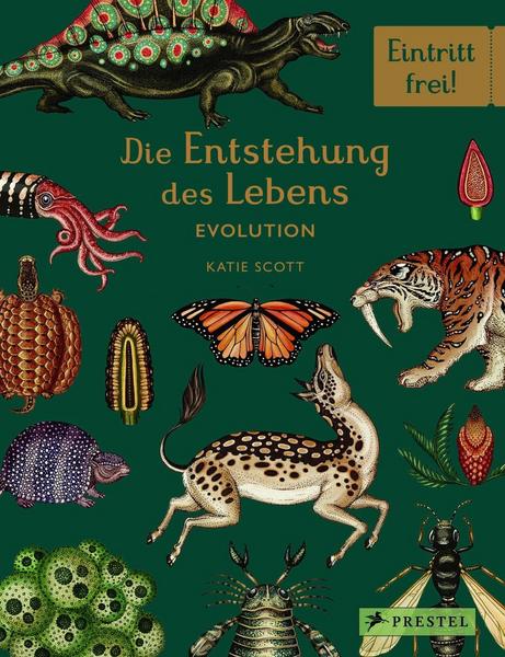 Fiona Munro, Ruth Symons Die Entstehung des Lebens. Evolution