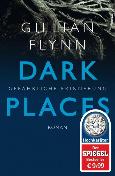 Gillian Flynn Dark Places - Gefährliche Erinnerung