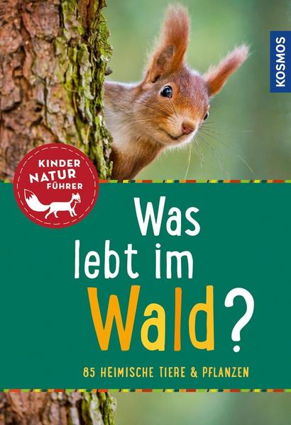 Holger Haag Was lebt im Wald℃ Kindernaturführer