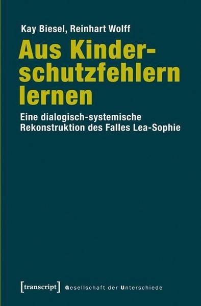 Kay Biesel, Reinhart Wolff Aus Kinderschutzfehlern lernen