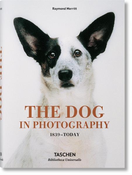 Raymond Merritt The Dog in Photography 1839–Today