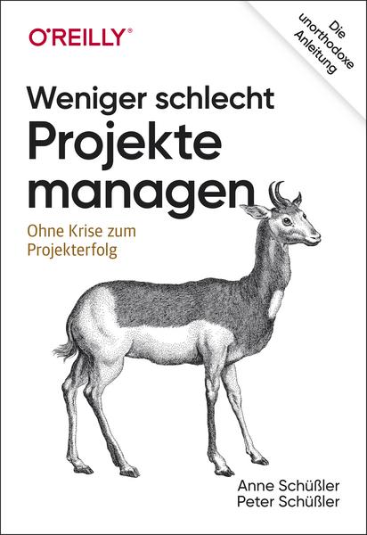 Anne Schüssler, Peter Schüssler Weniger schlecht Projekte managen