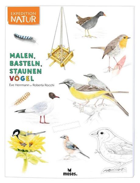 Eve Herrmann Expedition Natur: Malen, Basteln, Staunen - Vögel