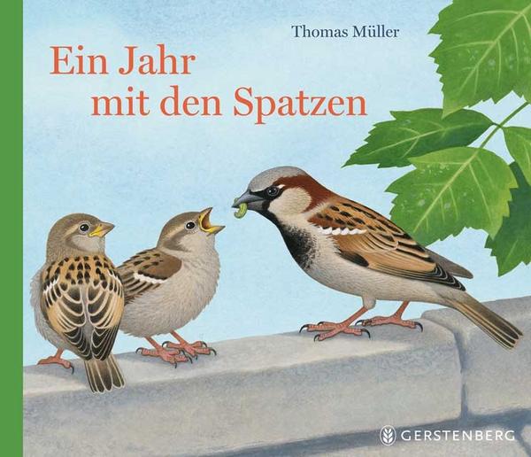 Gerstenberg Verlag Ein Jahr mit den Spatzen