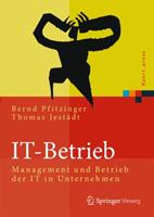 Bernd Pfitzinger, Thomas Jestädt IT-Betrieb