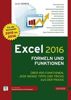 Ignatz Schels Excel 2016 Formeln und Funktionen