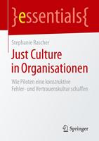Stephanie Rascher Just Culture in Organisationen