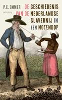 Piet Emmer De geschiedenis van de Nederlandse slavernij in een notendop