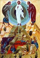 A.E.J. Kaal Transfiguratie