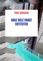 Paul Boogers Bruz Biliz vangt entiteiten