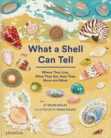 Phaidon Press Limited What A Shell Can Tell - Helen Scales