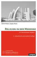 Detlef Pollack, Gergely Rosta Religion in der Moderne