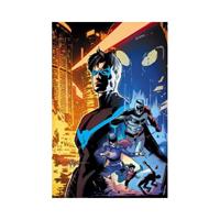 Van Ditmar Boekenimport B.V. Nightwing The Rebirth Deluxe Edition Book 1 - Tim Seeley