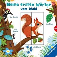 Ravensburger Verlag Meine ersten Wörter vom Wald - Sprechen lernen mit großen Schiebern und Sachwissen für Kinder ab 12 Monaten
