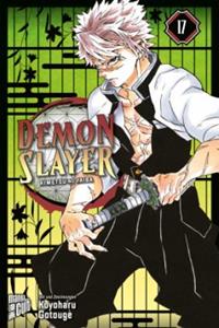 Manga Cult Demon Slayer / Demon Slayer Bd.17