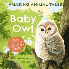 Amazing Animal Tales: Baby Owl by Anne Rooney