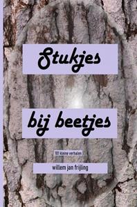 Willem Jan Frijling Stukjes bij beetjes -   (ISBN: 9789403690315)