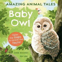 Amazing Animal Tales: Baby Owl by Anne Rooney