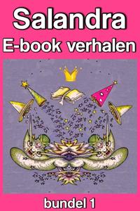 Sandra Koole Salandra E-book verhalen -   (ISBN: 9789462175181)