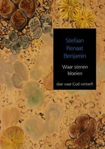 Stefaan Renaat Benjamin Waar stenen bloeien -   (ISBN: 9789402147049)