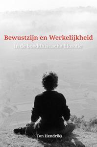Ton Hendriks Bewustzijn en Werkelijkheid -   (ISBN: 9789402186512)