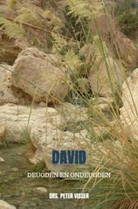 Drs. Peter Visser David -   (ISBN: 9789403601533)