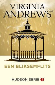 Virginia Andrews Een bliksemflits -   (ISBN: 9789026157561)