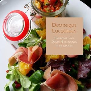 Dominique Lucquedey Symfonie van Domy -   (ISBN: 9789402141313)