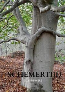 Elle Werners Schemertijd -   (ISBN: 9789403689319)