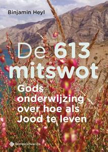 Binjamin Heyl De 613 mitswot -   (ISBN: 9789463712613)