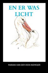 Marian van der Veen-Niemeijer En er was licht -   (ISBN: 9789464656848)