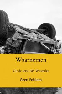 Geert Fokkens Waarnemen -   (ISBN: 9789464485639)