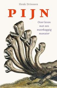 Henk Driessen Pijn -   (ISBN: 9789462497030)