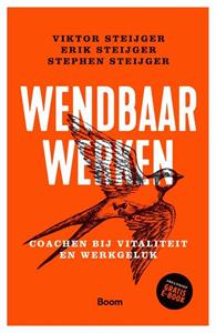 Erik Steijger, Stephen Steijger, Viktor Steijger Wendbaar werken -   (ISBN: 9789024403936)