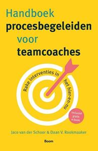 Daan V. Rookmaaker, Jaco van der Schoor Handboek procesbegeleiden voor teamcoaches -   (ISBN: 9789024428786)