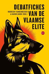 Robrecht Vanderbeeken Debatfiches van de Vlaamse elite -   (ISBN: 9789462673670)