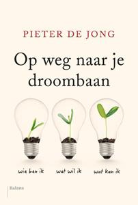 Pieter de Jong Op weg naar je droombaan -   (ISBN: 9789463820417)