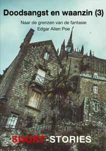 Edgar Allen Poe Doodsangst en waanzin -3 -   (ISBN: 9789462179684)