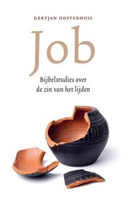 Gertjan Oosterhuis Job -   (ISBN: 9789043532372)