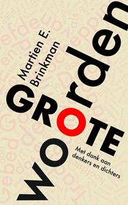 Martien Brinkman Grote woorden -   (ISBN: 9789043532617)