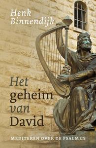 Henk Binnendijk Het geheim van David -   (ISBN: 9789043539180)