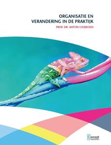 Anton Cozijnsen Organisatie en verandering in de praktijk -   (ISBN: 9789055163076)