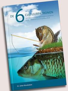 Johan Boudewijns De 6 cultuurpatronen -   (ISBN: 9789081064101)