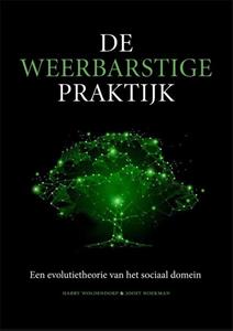 Harry Woldendorp, Joost Hoekman De weerbarstige praktijk -   (ISBN: 9789088508929)