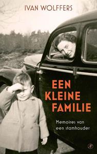 Ivan Wolffers Een kleine familie -   (ISBN: 9789029545228)